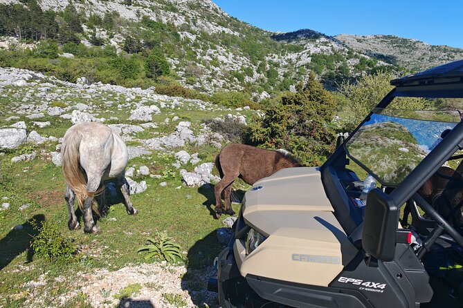Makarska: Baggy Skywalk & Biokovo viewpoint Tour - The drive down is part of the experience