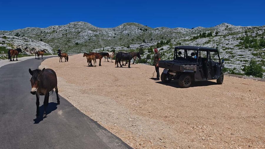 Makarska: Buggy Skywalk and Biokovo Tour - What to bring and who should book