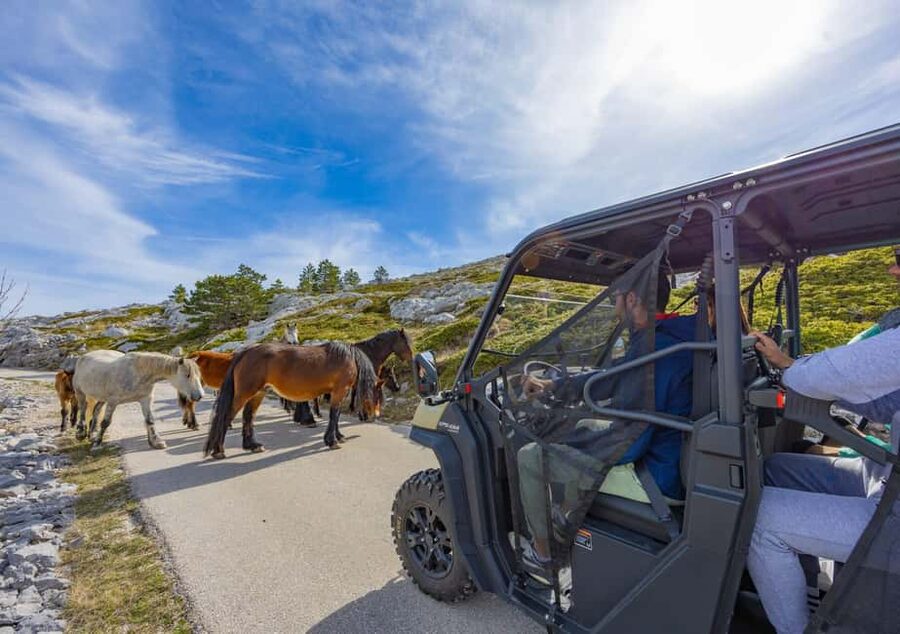 Makarska: Buggy Skywalk and Biokovo Tour - Viewpoints, wildlife, and the Biokovo road