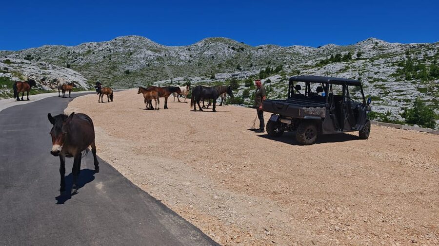 Makarska: Buggy Skywalk and Biokovo Tour - The Skywalk at 1,228 meters