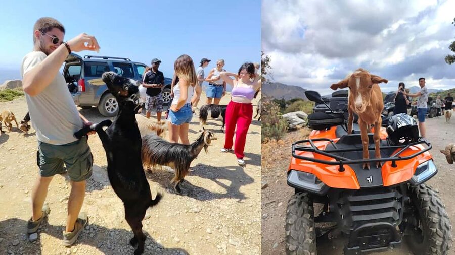 Malia: Off-Road Quad Safari Tour with Lunch and Transfers - Leaving Malia for Crete’s back roads