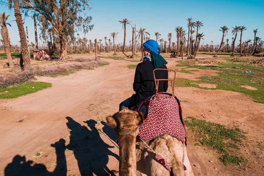 Marrakech: 2-Hour Quad Bike & Camel Ride in Palmeraie - Key points to know before booking