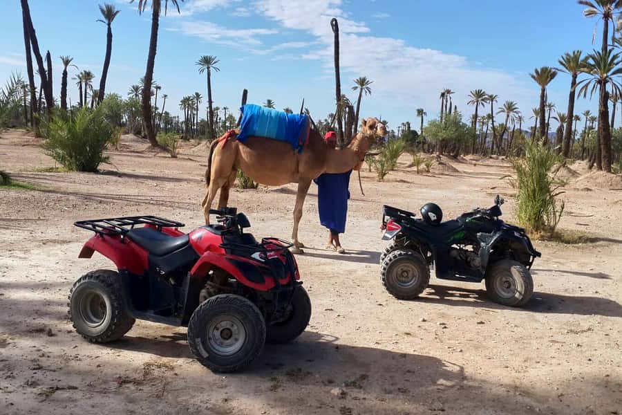 Marrakech: 2-Hour Quad Bike & Camel Ride in Palmeraie - Starting with the one-hour camel ride