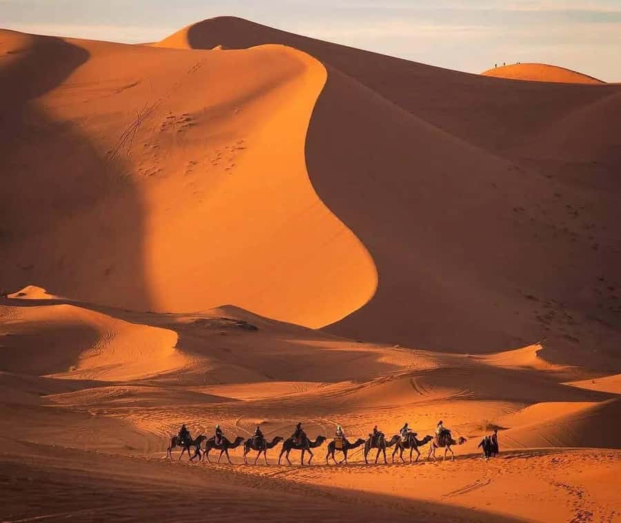 Marrakech: 3-day Exclusive Desert Luxury Tour; Quad & Camels - What the $79 price really covers