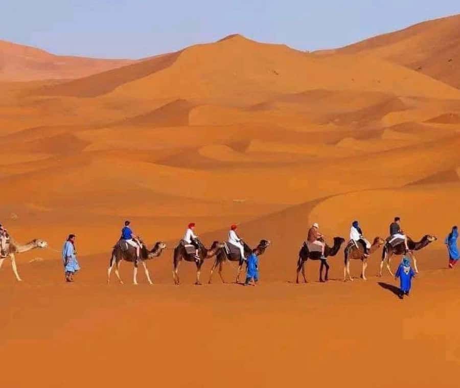 Marrakech: 3-day Exclusive Desert Luxury Tour; Quad & Camels - Guides, vehicles, and group comfort