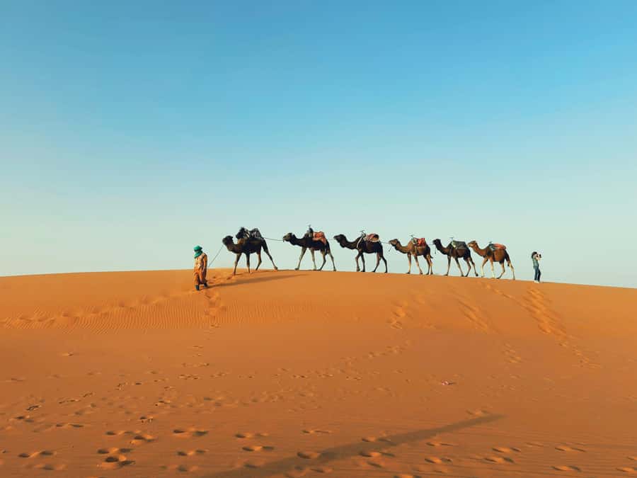 Marrakech: 3-day Merzouga Desert, Camel, Quad & Privat Tent - Day 1: Crossing the High Atlas to Ait Ben Haddou