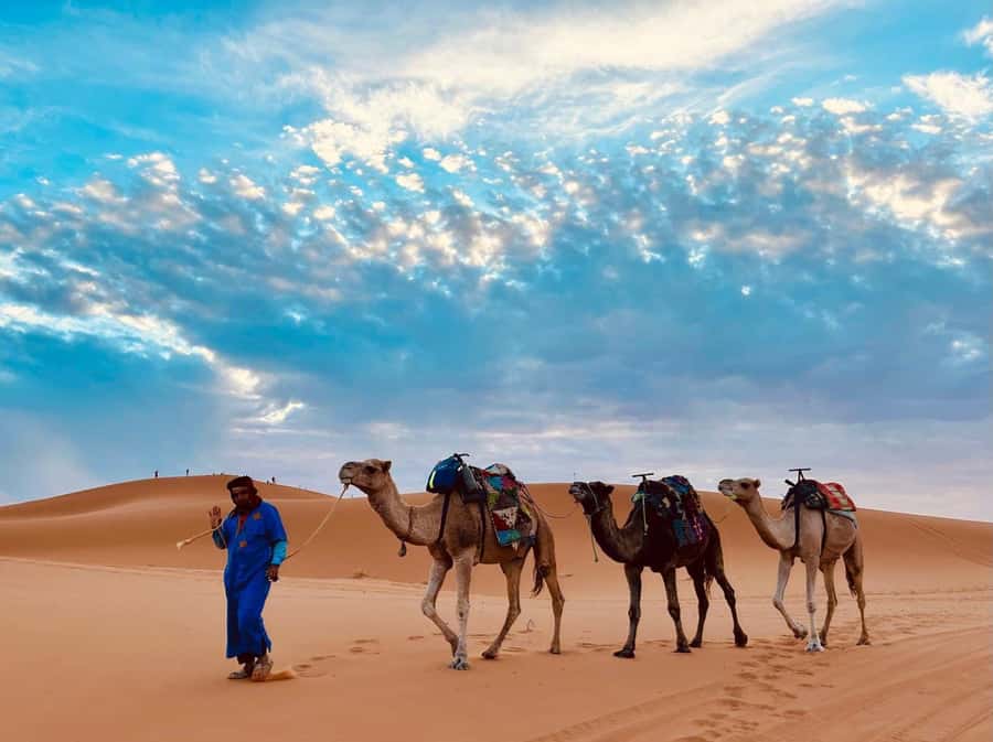 Marrakech: 3-Day Merzouga Desert Tour Camel & Sandboarding - Todra Gorges on Day 2