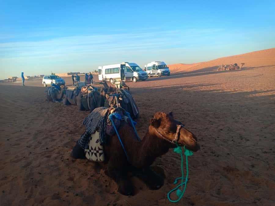 Marrakech: 3-Day Merzouga Sahara Desert Tour with Quad Ride - The quad ride: worth adding?