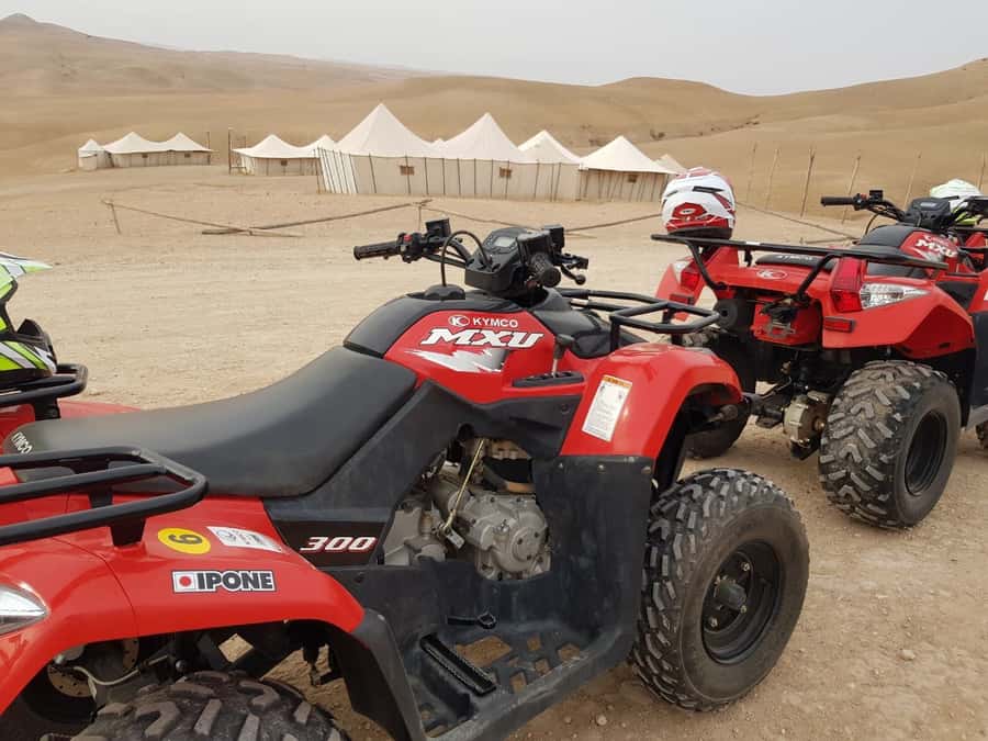Marrakech: 3-Hour Quad Bike Adventure - Who will enjoy this Palmeraie adventure?