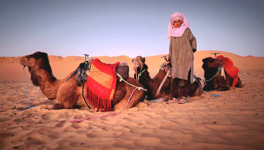Marrakech: 3Day Luxurious Merzouga Tour w/ Camel&Quad Option - Who should book this tour?