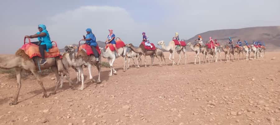 Marrakech Adventure: Agafay Desert Quad, Camel, Lunch - Lunch in a Berber tent with broad views