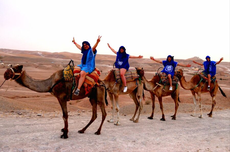 Marrakech: Agafay Desert Buggy Tour with Transfer - The Atlas Mountains as your backdrop