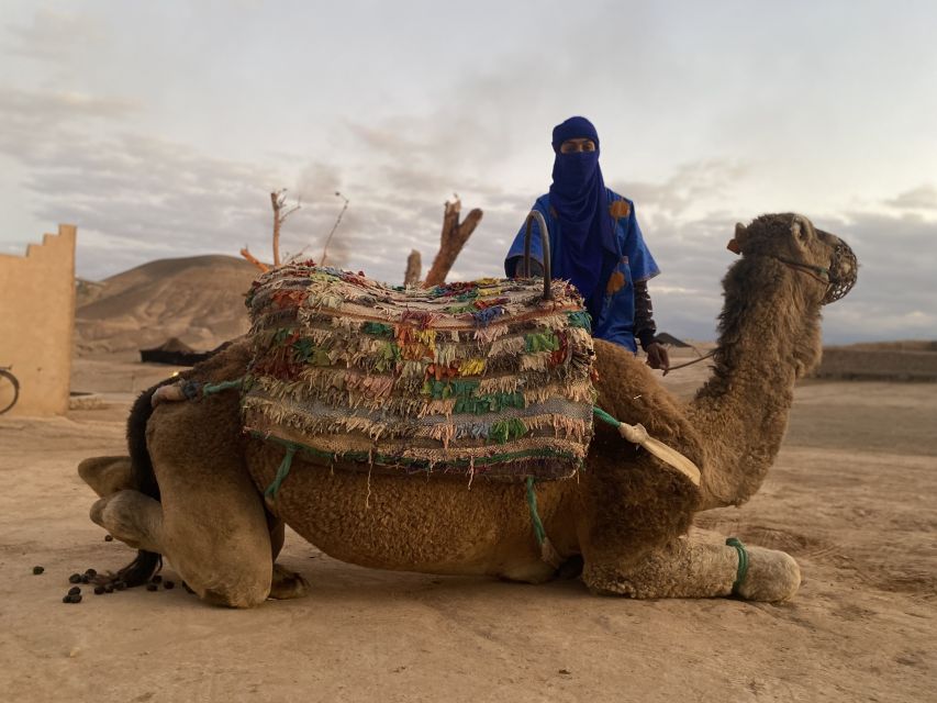 Marrakech: Agafay Desert Buggy Tour with Transfer - Who should book this Agafay outing