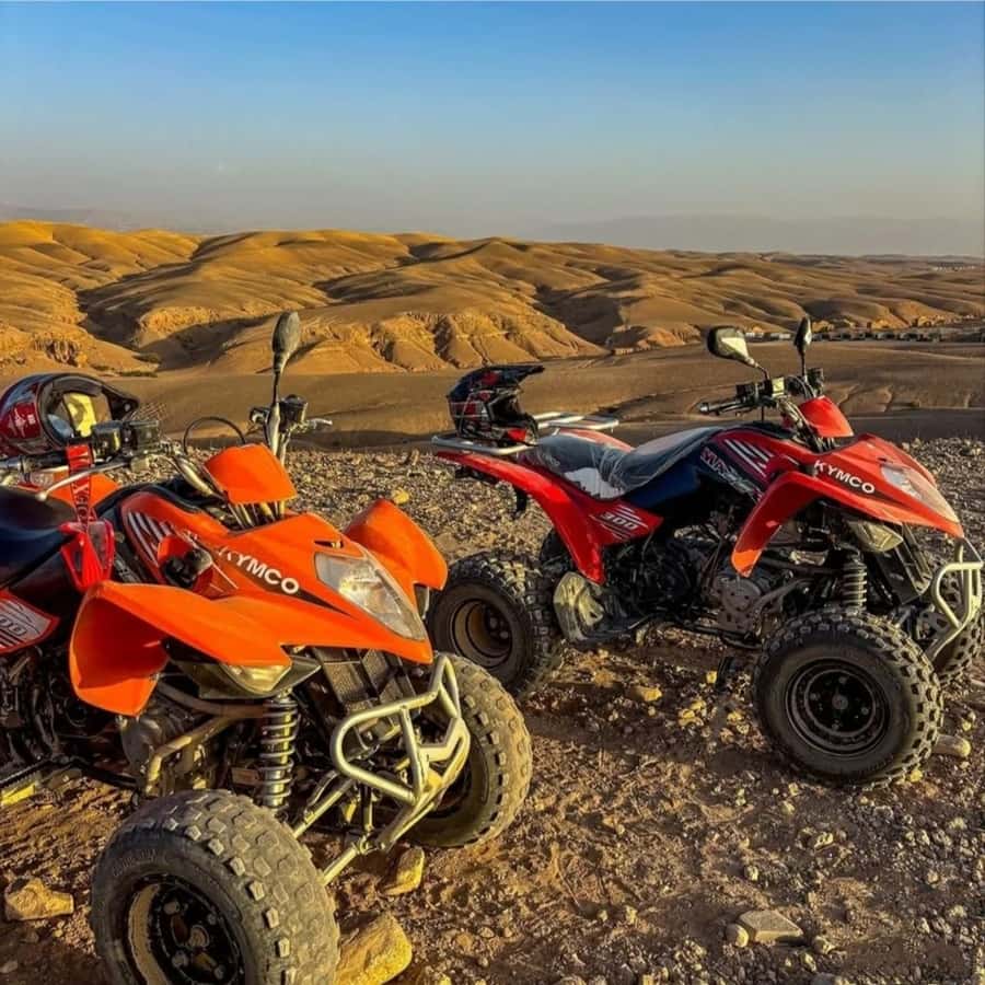 Marrakech: Agafay Desert Camel, Quad Bike & Dinner Show - What $36 really gets you