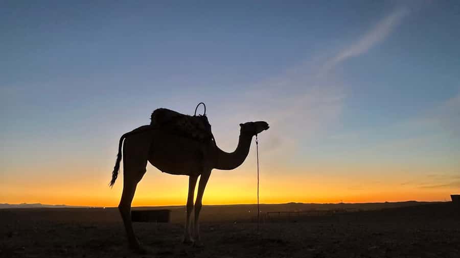 Marrakech: Agafay Desert: Camel ride Quad Bike, Dinner show - A calm pool beside the Atlas Mountains