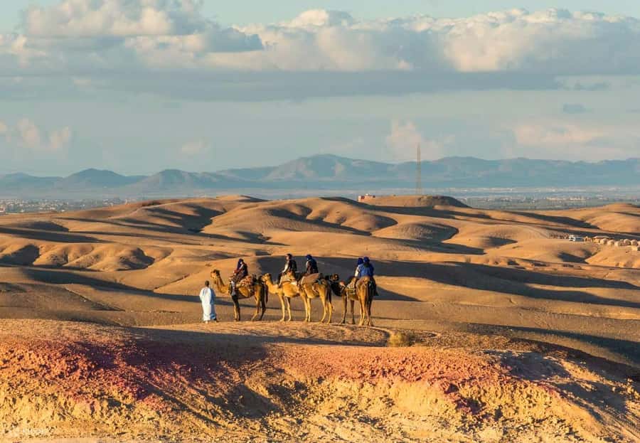 Marrakech: Agafay Desert Dinner Show with Quad Bike & Camel - Who will enjoy this day most?