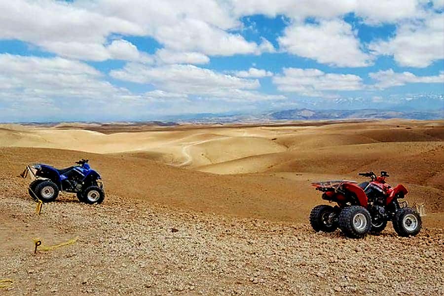 Marrakech: Agafay Desert Dinner Show with Quad Bike & Camel - How much value do you get for $22?