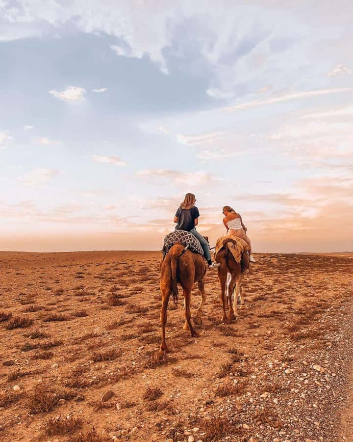 Marrakech: Agafay Desert Escape with Quad or Camel Ride - Who should book this Agafay evening