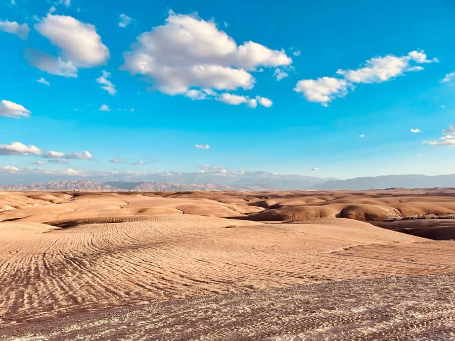 Marrakech: Agafay Desert Quad Bike Tour with Moroccan Tea - Key points at a glance