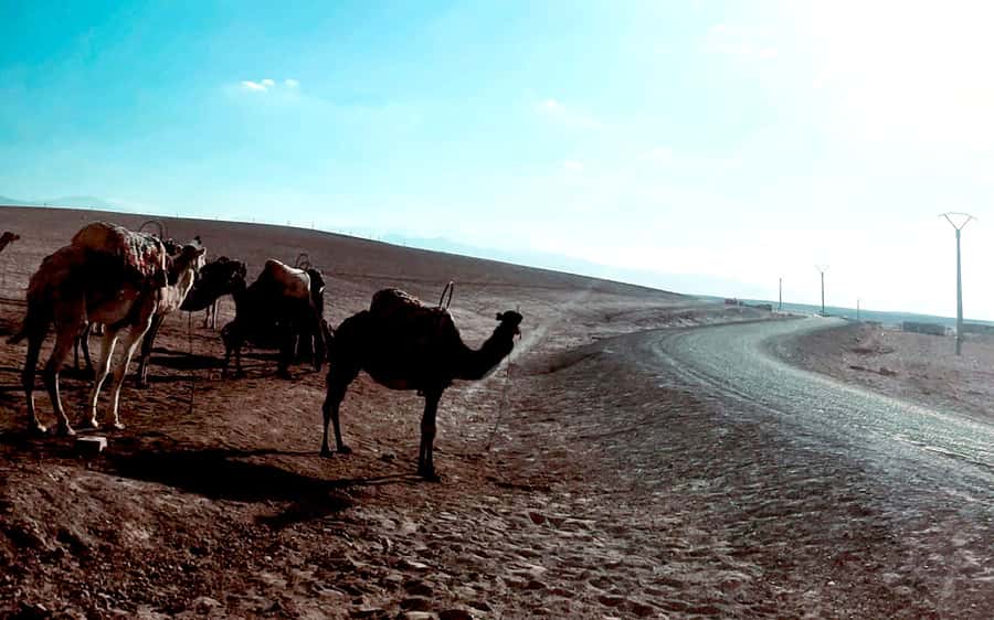 Marrakech: Agafay Desert Quad Bike Tour with Moroccan Tea - Reaching Agafay from Marrakech