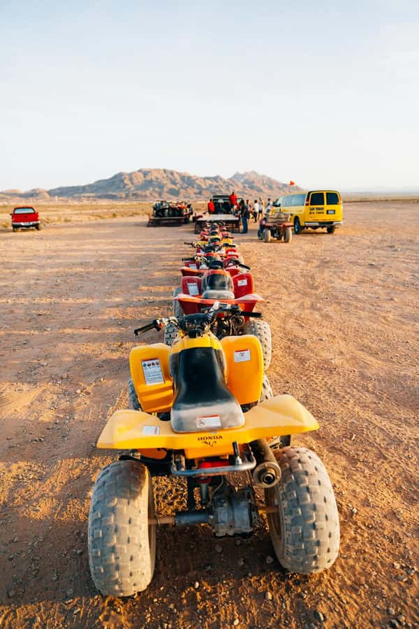 Marrakech: Agafay Desert Quad Bike with Camels & Dinner Show - Quick points before you book