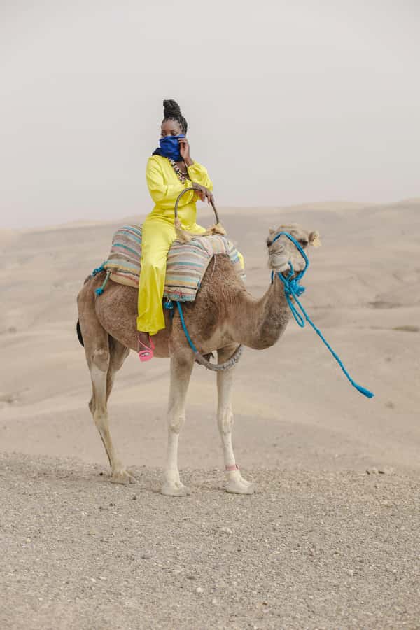 Marrakech: Agafay Desert Quad Bike with Camels & Dinner Show - Music and the fire show
