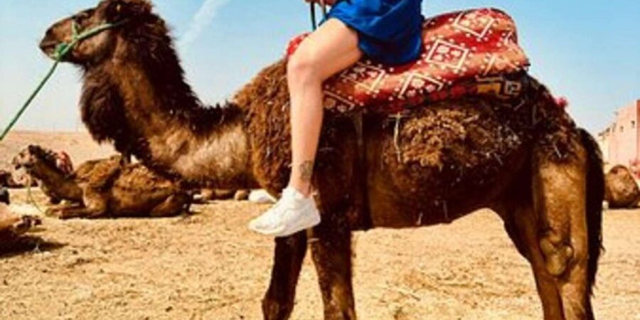 Marrakech: Agafay Desert Quad Biking with Dinner & Show - The guides make a real difference