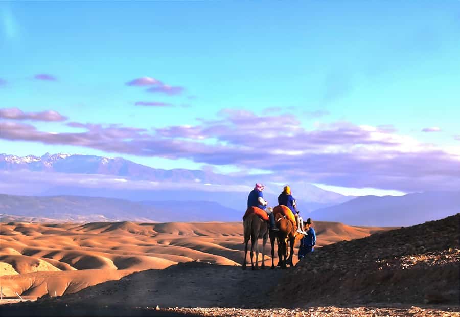Marrakech: Agafay Desert Quad, Camel or Pool Day with Lunch - Agafay is a rocky desert escape, not a sea of sand