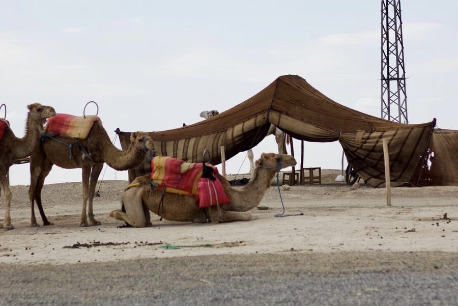 Marrakech: Agafay Desert Quad, Camel or Pool Day with Lunch - What to bring and how to make the day easier