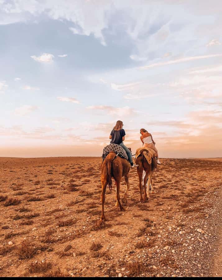 Marrakech: Agafay Desert Quad, Camel Ride & Dinner Show - Who should book this Agafay outing?