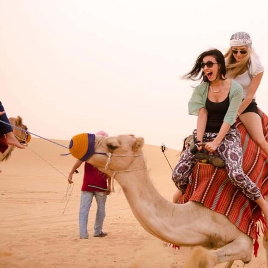 Marrakech: Agafay Desert Quad & Camel Rides Whit Dinner Show - Key points at a glance