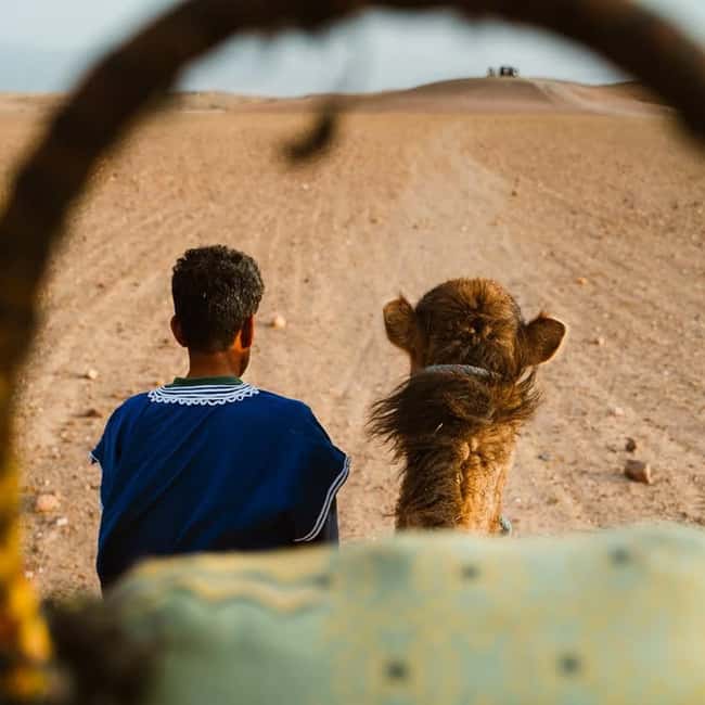 Marrakech: Agafay Desert Quad & Camel Rides Whit Dinner Show - Moroccan dinner under a Berber tent