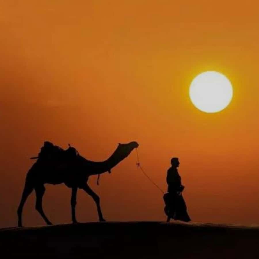 Marrakech: Agafay Desert Quad & Camel Rides with Dinner Show - Agafay is a rocky desert, not the Sahara
