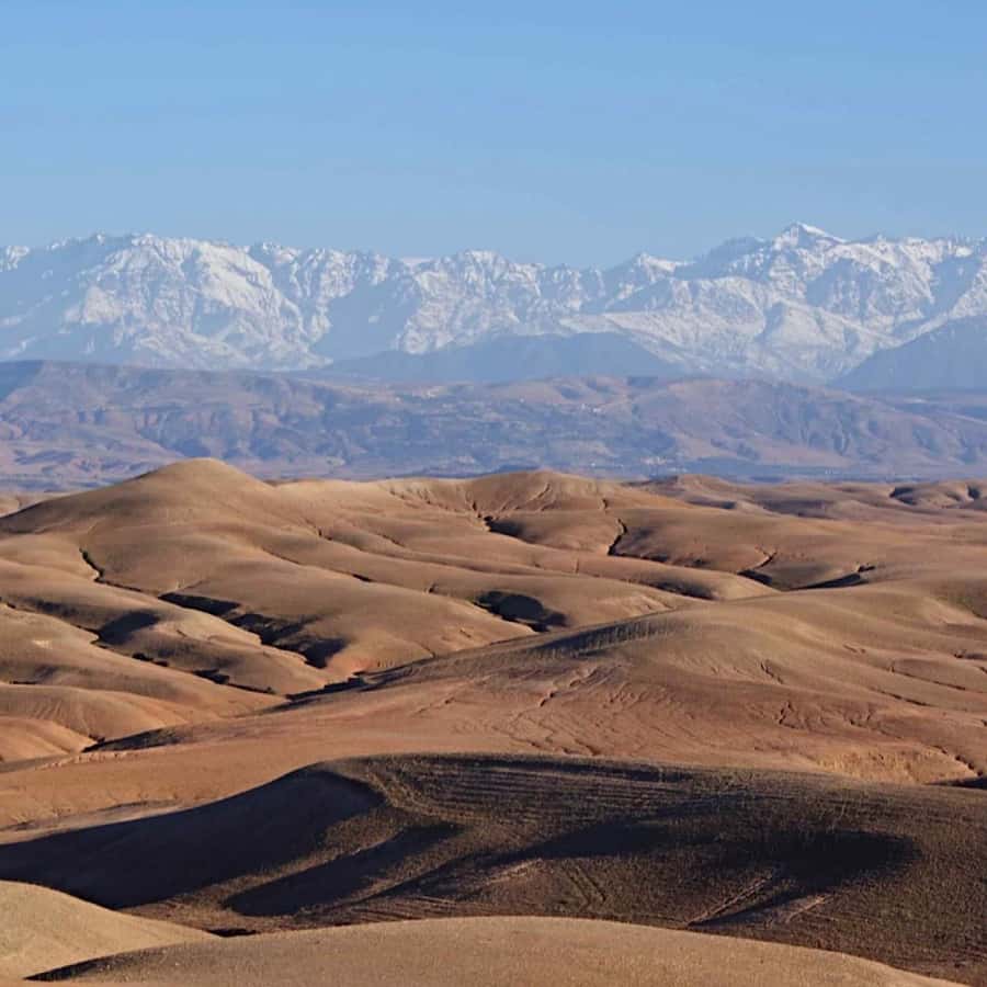 Marrakech: Agafay Desert Quad & Camel Rides with Dinner Show - The argan oil cooperative