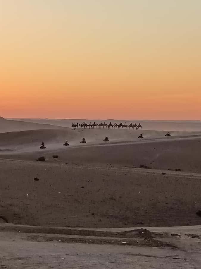 Marrakech: Agafay Desert Quad & Camel Rides with Dinner Show - Guides and the human side of the day
