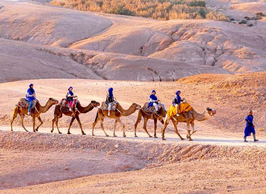 Marrakech: Agafay Desert Quad & Camel Rides with Dinner Show - Getting out of Marrakech