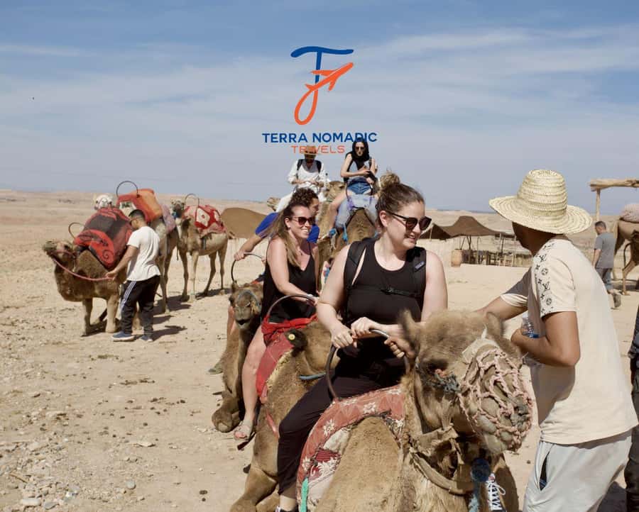 Marrakech: Agafay Dinner Show with Quad/Camel Ride and Pool - Forty minutes on a shared quad