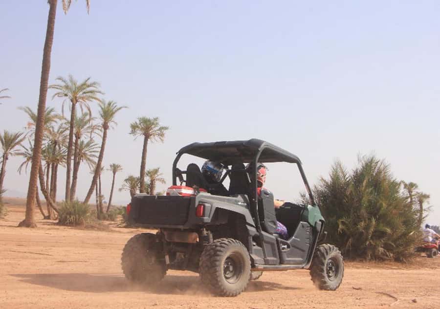 Marrakech: Buggy Experience at Palmeraie with Hotel Pickup - Key points at a glance
