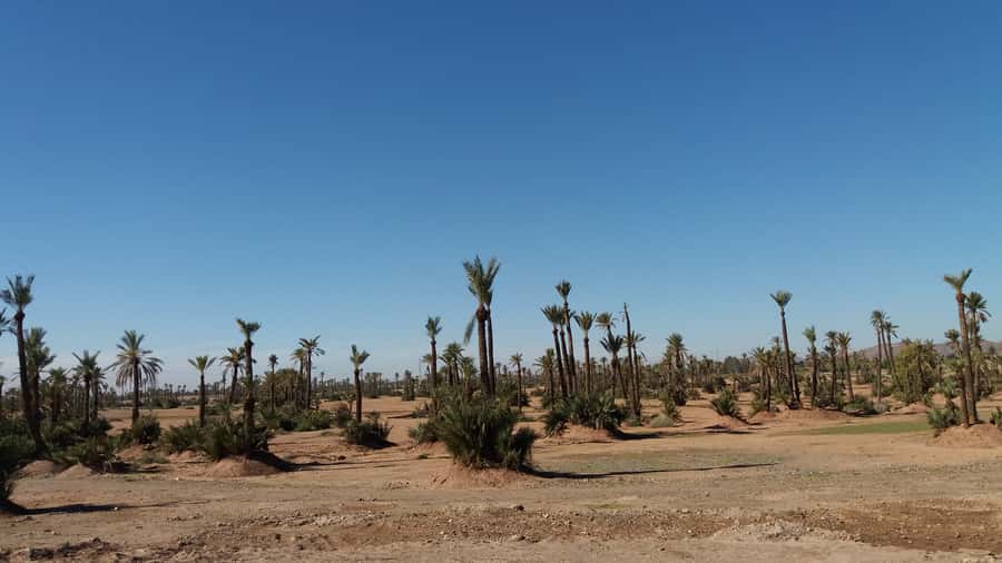 Marrakech: Buggy Experience at Palmeraie with Hotel Pickup - Getting briefed before the buggy ride