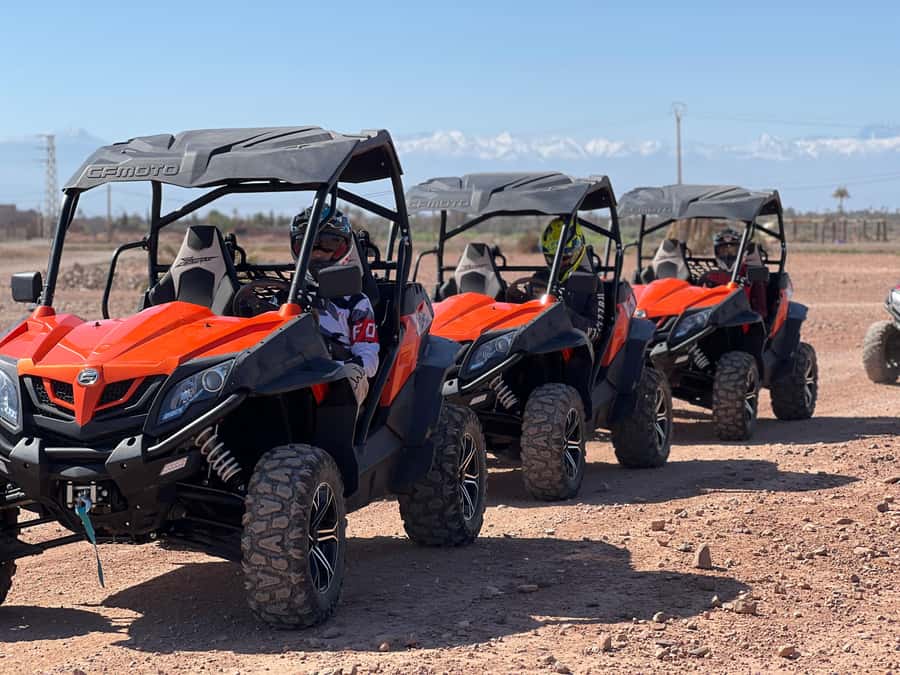 Marrakech Buggy Palmerie and Desert - Is $44 good value for three hours?