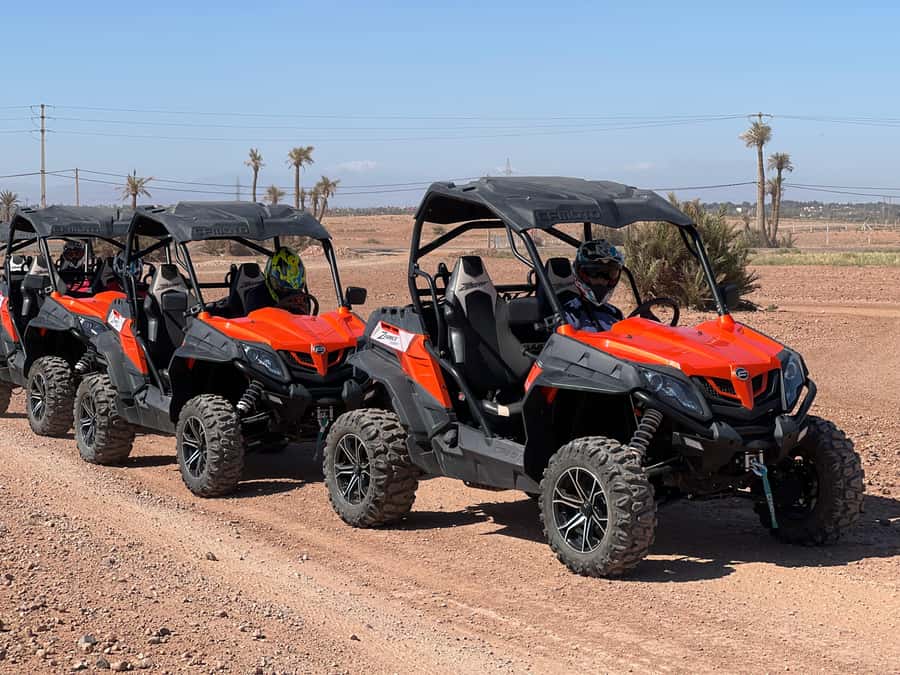 Marrakech Buggy Palmerie and Desert - Who will enjoy this ride most?