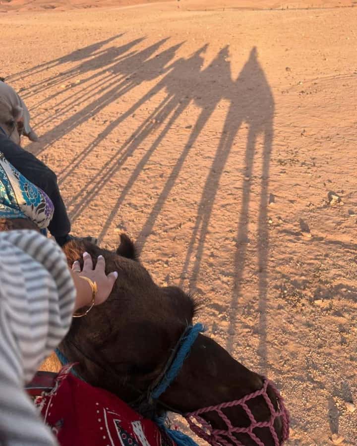 Marrakech: Camel & Quad Bike Tour with Sunset, Dinner & Show - What this five-hour Agafay outing is really like