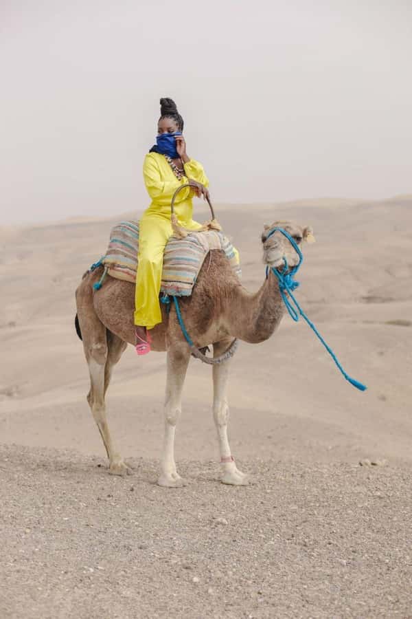 Marrakech: Camel & Quad Bike Tour with Sunset, Dinner & Show - Meeting your guide in Marrakech