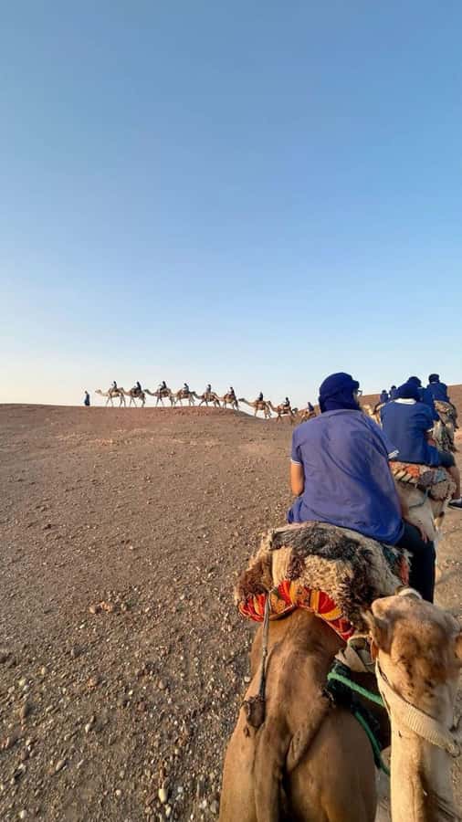 Marrakech: Camel & Quad Bike Tour with Sunset, Dinner & Show - Berber music, dancing, and the fire show
