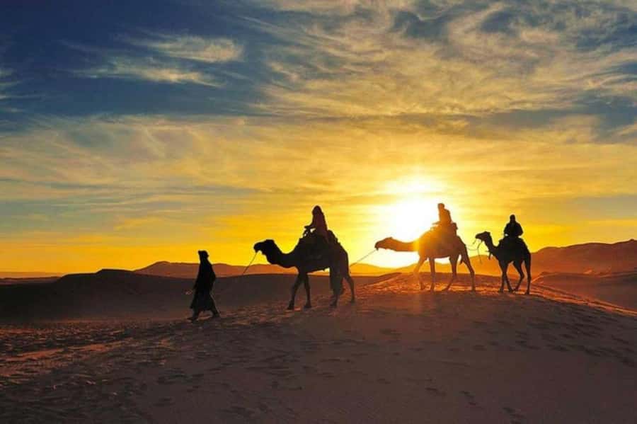 Marrakech: Camel & Quad Bike Tour with Sunset, Dinner & Show - The argan oil cooperative stop