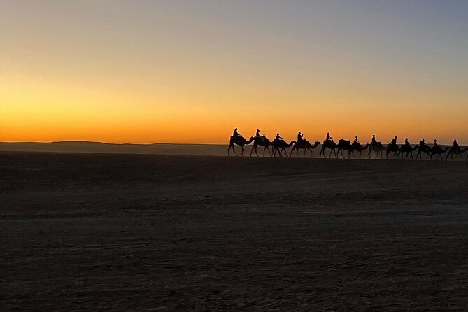 Marrakech: Camels & Quads on Sunset and Luxury Dinner with Show - Thirty minutes on a quad bike