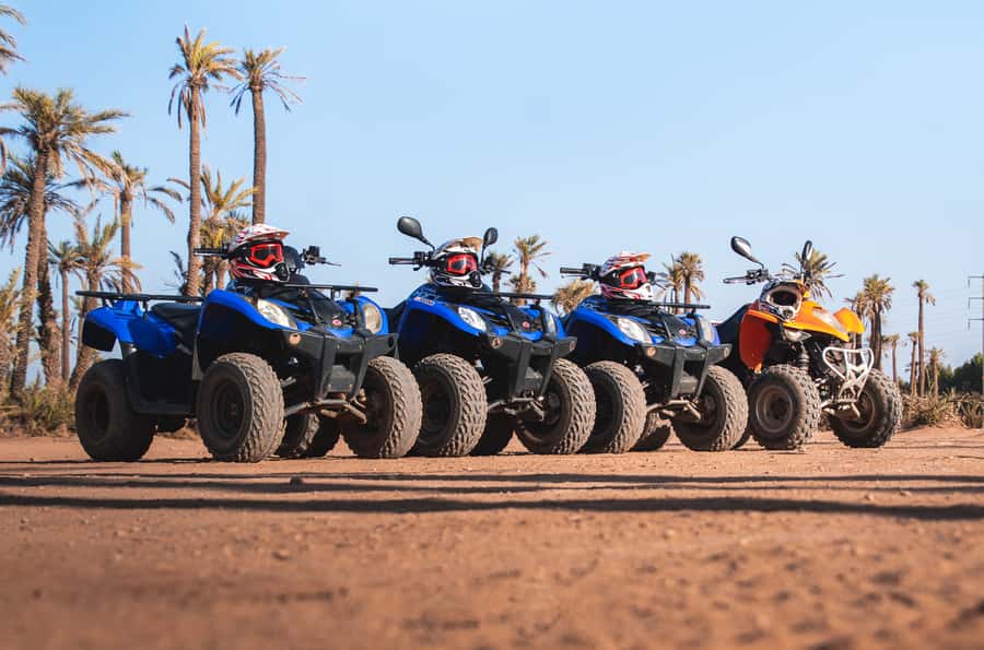 Marrakech: Desert and Palm Grove Quad Tour with Tea - Who should book this outing?