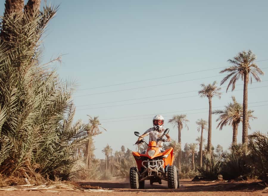 Marrakech: Desert and Palm Grove Quad Tour with Tea - Tea, bread, honey, and village hospitality