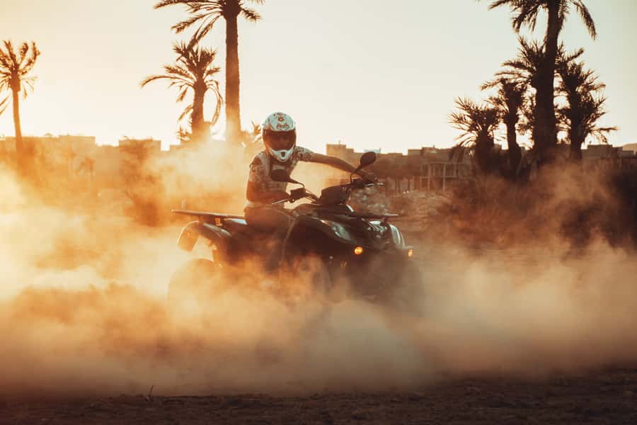 Marrakech: Desert and Palm Grove Quad Tour with Tea - Is $22 good value?