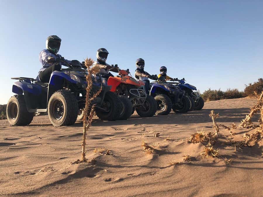 Marrakech: Desert and Palm Grove Sunset Quad Tour with Tea - Should you book it?